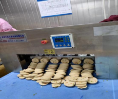 菲特公司團隊共同努力成功將肉餅生產工藝進行升級改造