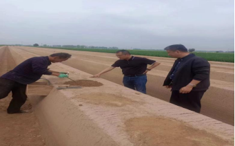 4月15日，公司李總、原料王愛兵、品管王文文奔赴菏澤深入田間地頭考察原料種植采收情況